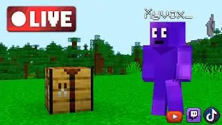 ⛏️ Je survis sur ce serveur !🔴