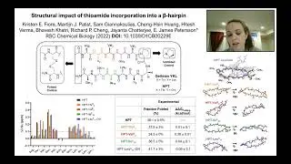 Structural impact of thioamide incorporation into a &beta;-hairpin