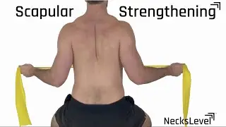 Scapular Strengthening Exercises - Treat your Neck Pain