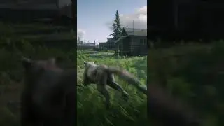 RDR 2 Animal Running  - rdr 2 whatsapp status - rdr 2 tiktok video#short
