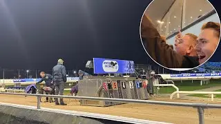 An Honest Day Punting - Shelbourne Park Greyhounds 🇮🇪 