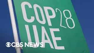 COP28: Oil companies pledge to reduce methane emissions by 2030