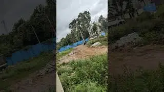 Crazy Weather in Bangalore! 🌧️ Heavy Rain & Strong Winds