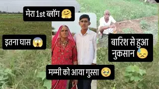 My fast vlog #vlog #tarotreading marwadi vllog @Dinesh vlog