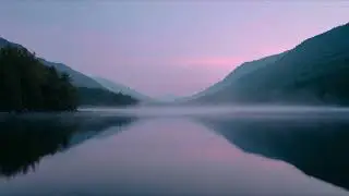 Ash & Paradise - Serenity State