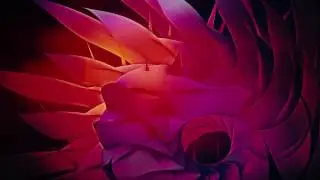 VJ Clip: Topo [27.02.2017]