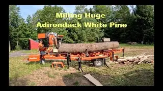 Milling Huge Adirondack White Pine