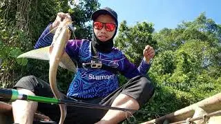 Umpan Murah Buat Casting Lais Tembiring