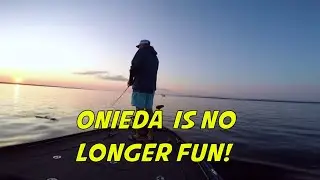 Oneida Lake FLW BFL Practice and Tournament!