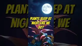 The Truth About Plants Sleeping at Night #animals #facts #plants #shorts #sleep #night #discovery