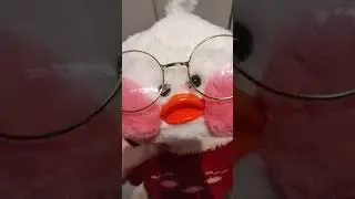 СЮЗИ...?? #dance #funny #memes #уточкалалафанфан #мемытикток #fun #tiktokmemes