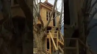 House on a tree #art #carpenter #artisan #skill