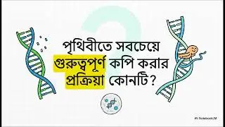 ১.১০ DNA রেপ্লিকেশন | HSC Biology