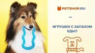 NYLABONE - ИГРУШКИ ДЛЯ СОБАК С ЗАПАХОМ ЕДЫ!