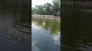 Cuma hitungan detik lansung ikan Strike Monster sama bapak ini! @kolam wuping 🎣🎣