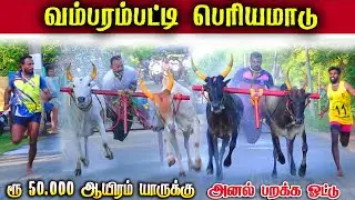 வம்பரம்பட்டி பெரியமாடு 50001 ஆயிரம் யாருக்கு??2025