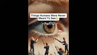 Things Humans Were Never Meant To See😳