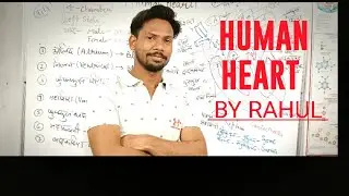 HUMAN HEART || मानव हृदय || How Human heat works|| Human Heart by RAHUL CAMPUS ||
