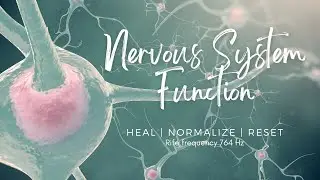 ♫ Nervous System Function ~ Heal | Normalize | Reset | 764 Hz ~ Classical Music