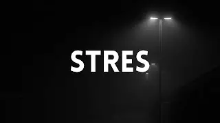 Stres Üzerine