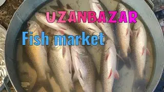 Uzanbazar Fish Market || Guwahati || Assam || Mas Ghat || Mas Bozar