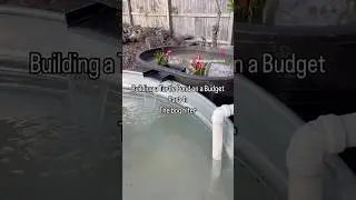 Building a Turtle Pond on a Budget Part 4: The Bog Filter