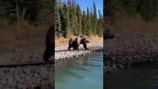 FASTER! IT'S CHASING US!