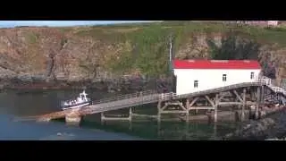 RSPB Ramsey Island - why is it special? (HD Film)