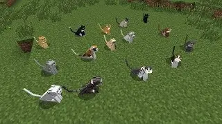 EASY Minecraft Plethora of Cats Achievement