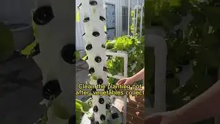 Revolutionize Your Home Gardening with Leafy Vegetable Vertical Tower Hydroponic Growing Systems