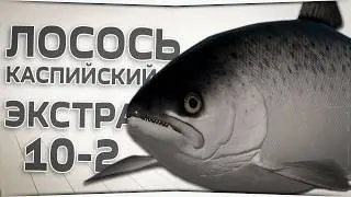 Лосось Каспийский на реке Ахтуба &bull; НГ задания с 1-го уровня &bull; Русская Рыбалка 4 &bull; Стрим #10
