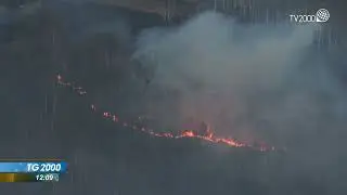 Tra vento e siccit&agrave; incendi di boschi in Piemonte e Liguria