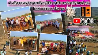 श्री. सचिन दादा साळुंके यांच्या वाढदिवसा निमित्त आयोजित बैलगाडी शर्यत चिखली माती बंदर २४ एप्रिल २०२४