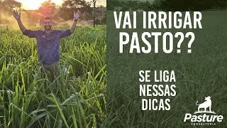 IRRIGAÇÃO DE PASTAGEM: O que saber antes de investir?