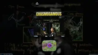 Secret of Chasmogamous Flower 🌸 #Shorts #Chasmogamous #Flower #PW