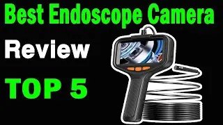 Top 5 Best Endoscope Camera On 2024