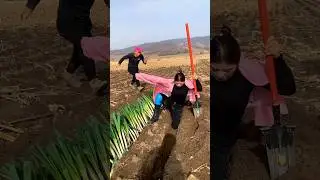Amazing Farming Tools for Rural Farmer |Essential Agricultural Tool 👍👍 #shorts #satisfying