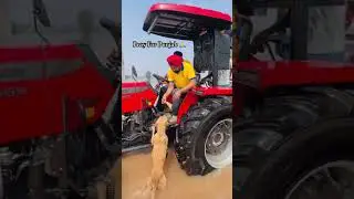Pray For Punjab Floods 🙏 #short #shorts #shortvideo #viral
