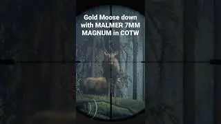 Gold Moose down with MALMER 7MM MAGNUM in COTW #cotw #callofthewild #hunting #gaming #shorts