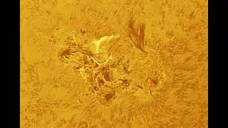 Solar X Flare (X1.1) in AR3664 on Thursday, May 9, 2024