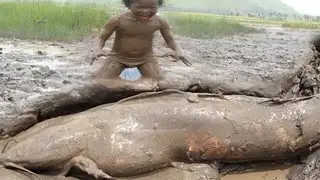 KING OF FISHES / primitive channel