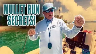 How To Catch MASSIVE Snook During the Fall Mullet Run