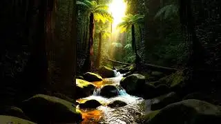 Calm River Flow with Soft Evening Light | Relaxing Nature ASMR