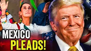Mexico Is BEGGING Trump to Save Them from Cartel HELL!!!