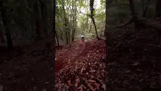 Loving this new trail at kings cliff woods!