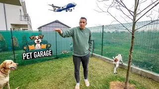 Ce AFACERE am deschis? De ce ne-am OPRIT din CALATORIT ? - Vlog 307