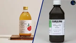 Cleaning with Vinegar vs Peroxide: Which is Better?