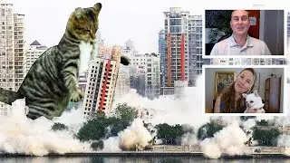 Animals Causing Havoc on Construction Sites (Wild Chats Podcast) - Ep. 32