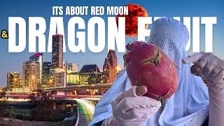 US Travel Vlog || Full Moon in USA || How to Cut Dragon fruit