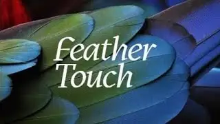 Feather Touch | audio blog | Podcast | Life&mdash;MusicAndArts